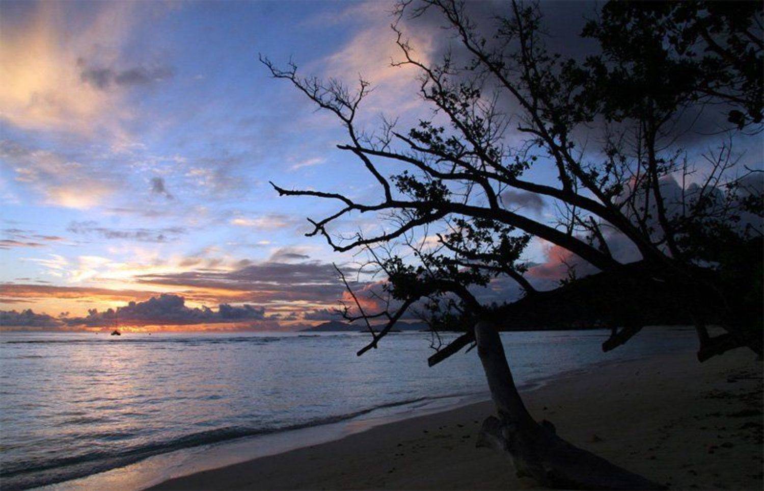 рассвет, океан, Александр Цабель