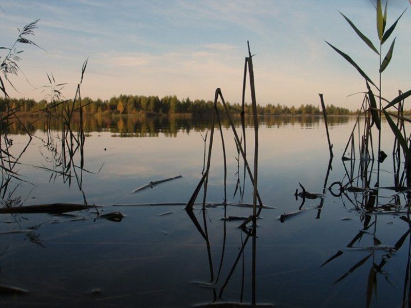 осень, света ошметкова Прекрасная осеньphoto preview