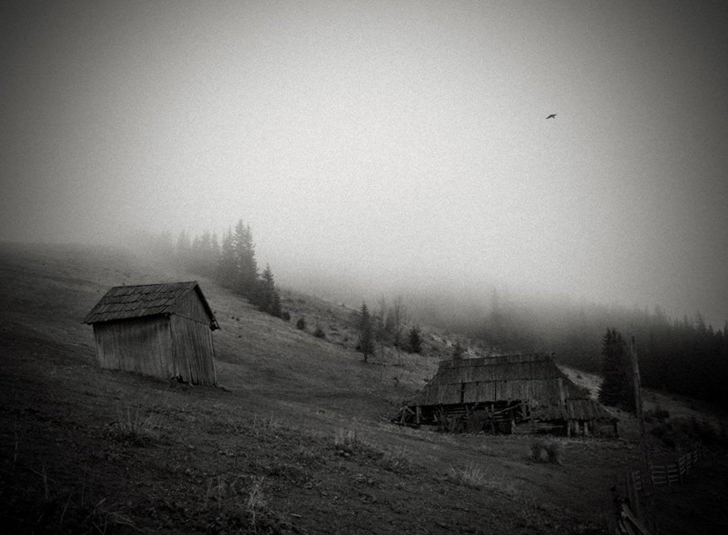 Тени забытых предков. Автор: Tailwind , Tailwind