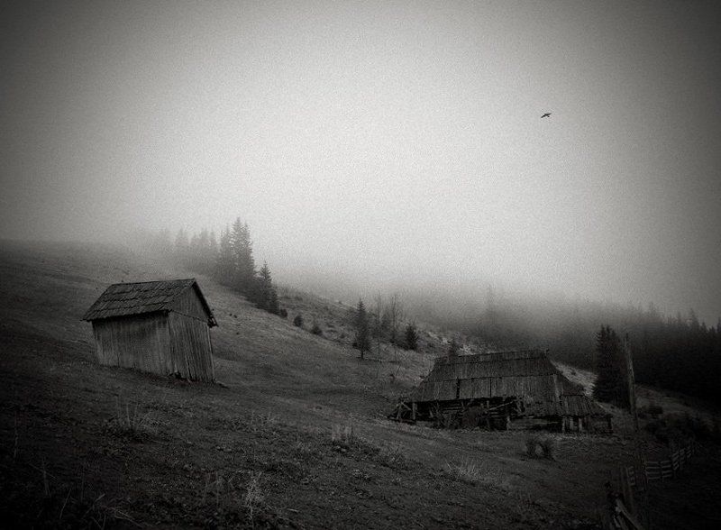 Тени забытых предковphoto preview