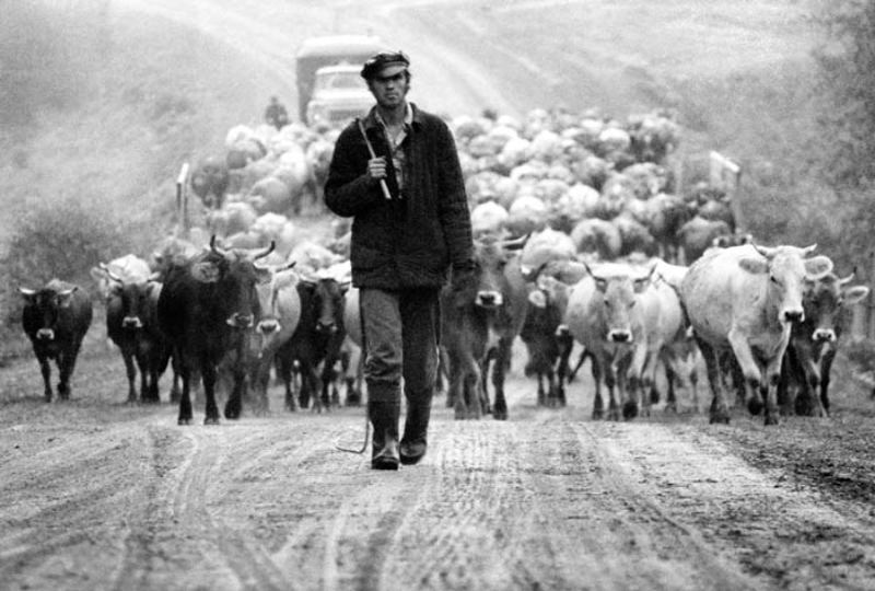 ПАСТУХphoto preview