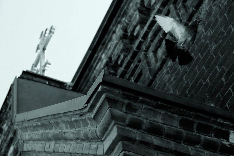 храм голубь венчание барнаул Началоphoto preview