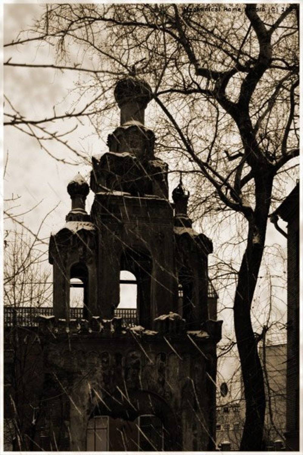 dark, abandoned, Сборщик