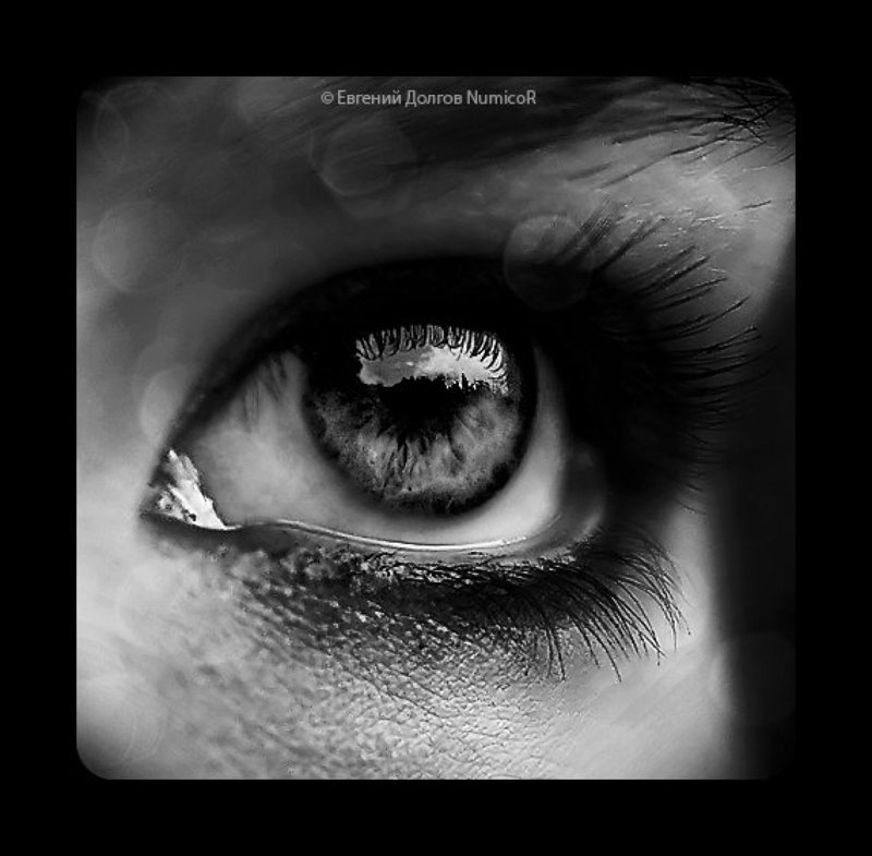 глаз, глаза, чб, отражение ***photo preview