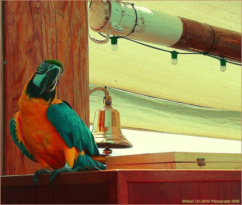 кар-р-рамба, пиастры Кар-р-рамба!!!!!photo preview