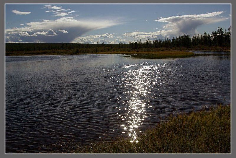 река,тайга Речной бризphoto preview