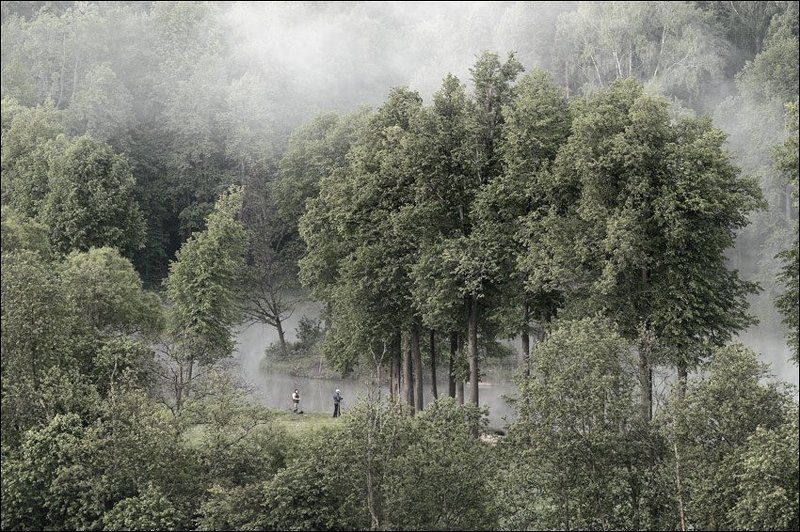 Чуть цветная утренняя картинка с видом на пруд в Середниково сверхуphoto preview