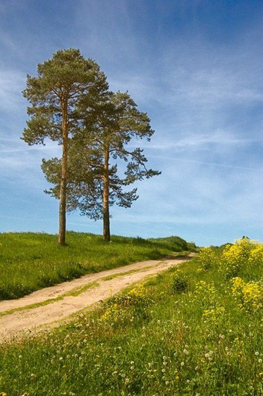 На муромской дорожке...photo preview