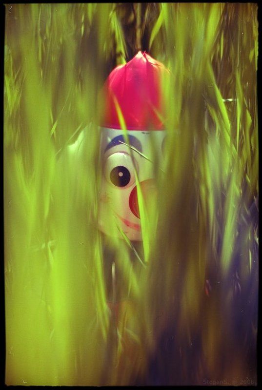 clown ///photo preview