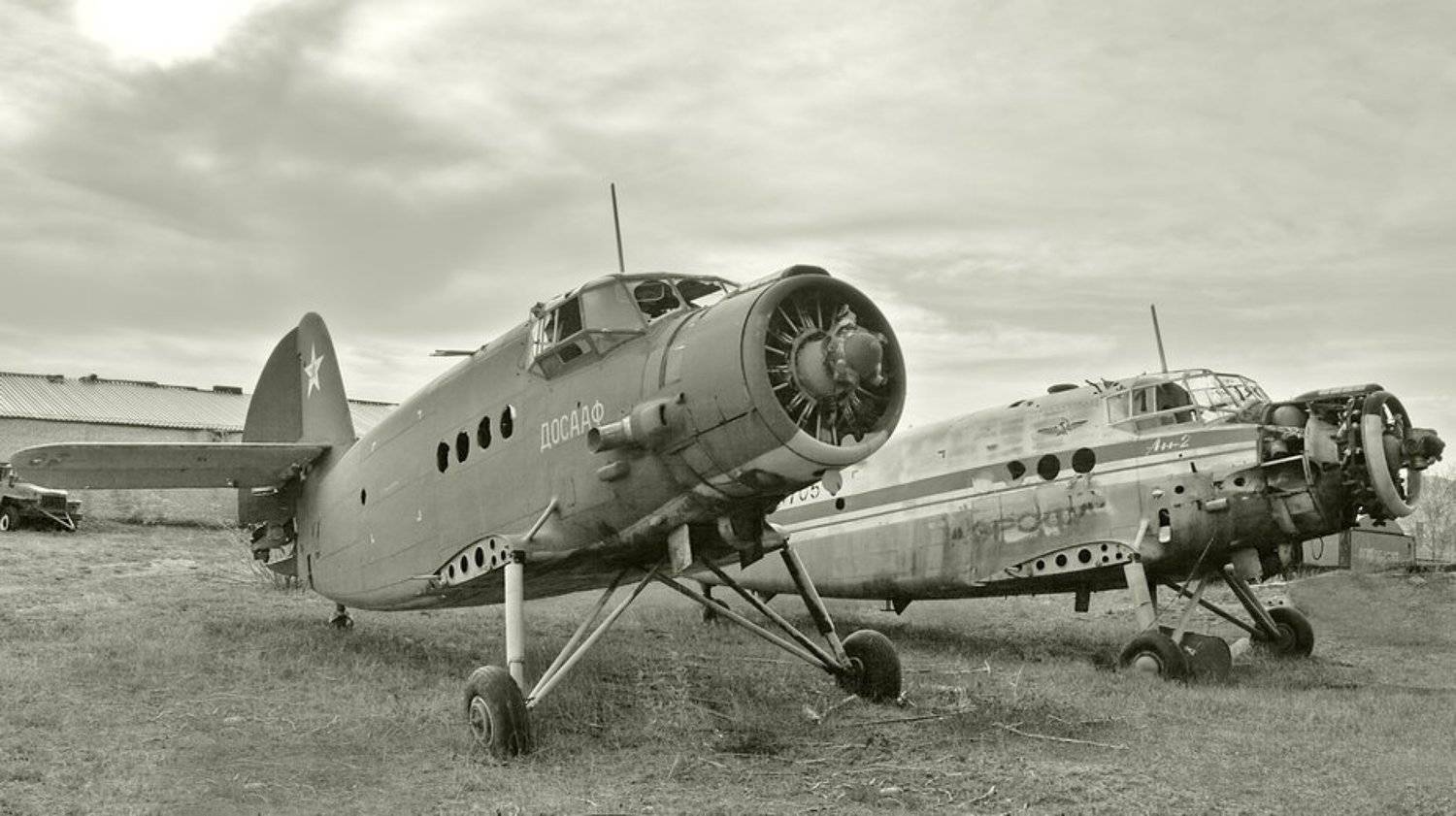 Если птице обрезать крылья.... Автор: Олег Шубаров самолет, аэродром, досааф, Олег Шубаров