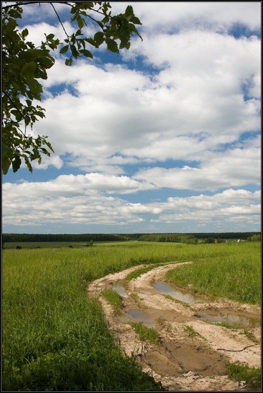 подмосковье, облака, лето, солнце, поле, трава, дорога Родное подмосковьеphoto preview