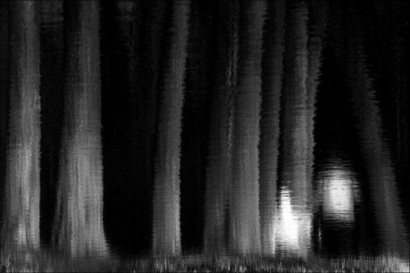 Темноконтрастный чб перевертыш с большими деревьямиphoto preview