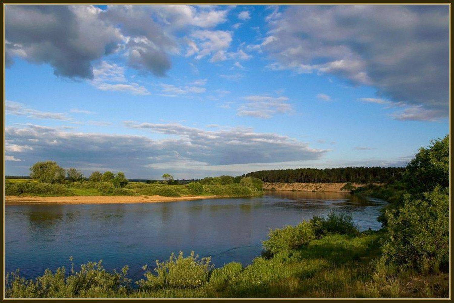 На Угре. Автор: Георгий лето вечер река облака, Георгий