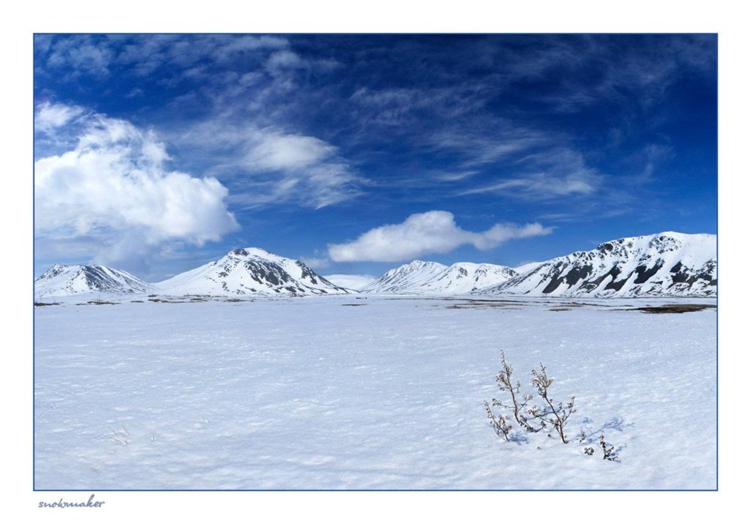 фото, чукотка, снег, photo, chukotka, snowmaker, провидения, куст, сопки, горы, snowmaker