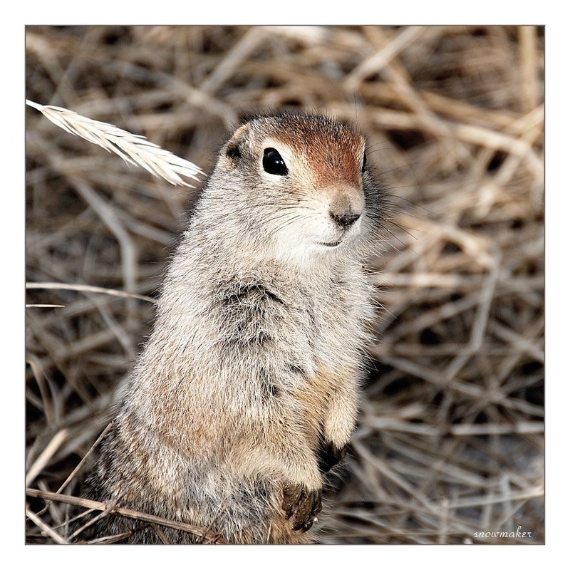 Про гигиенуphoto preview