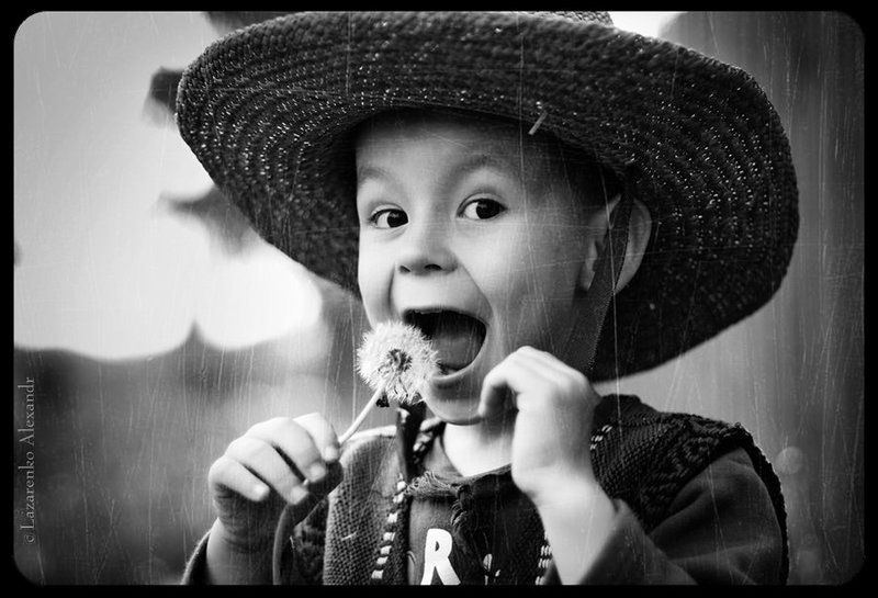 Вкус одуванчика знает каждый :)photo preview