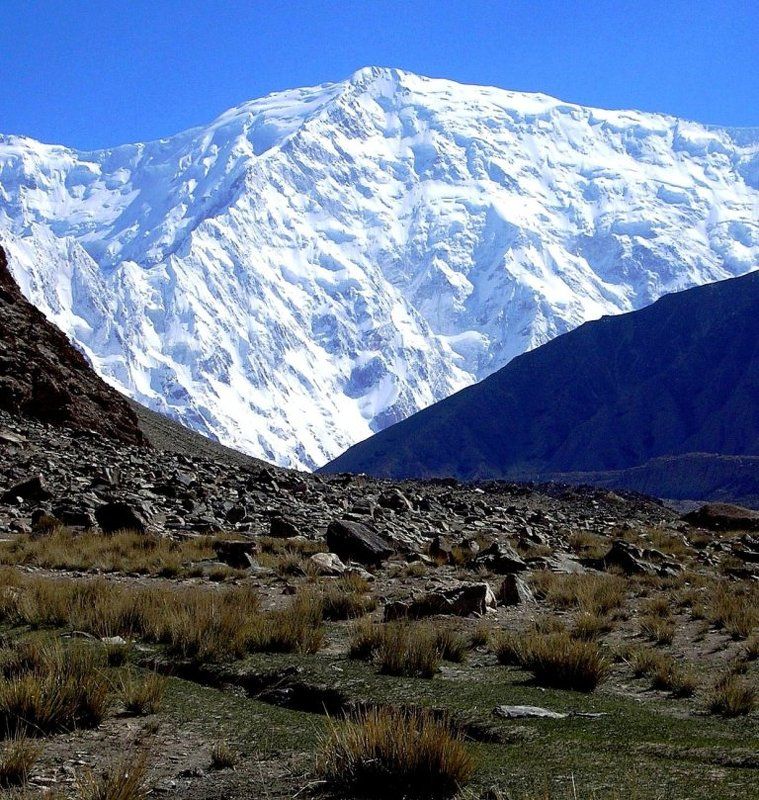 зуб мудростиphoto preview