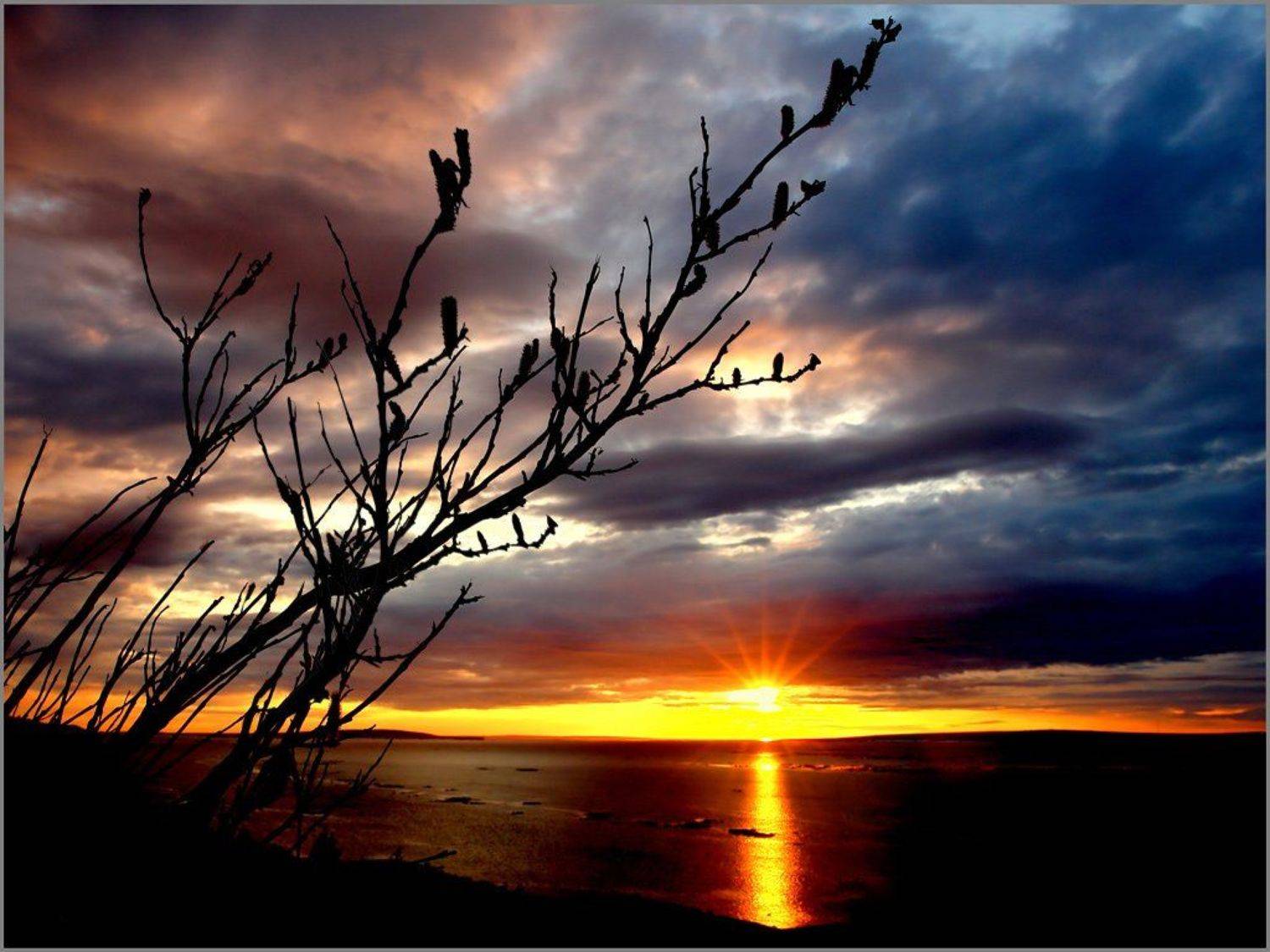 ***. Автор: snowmaker , snowmaker