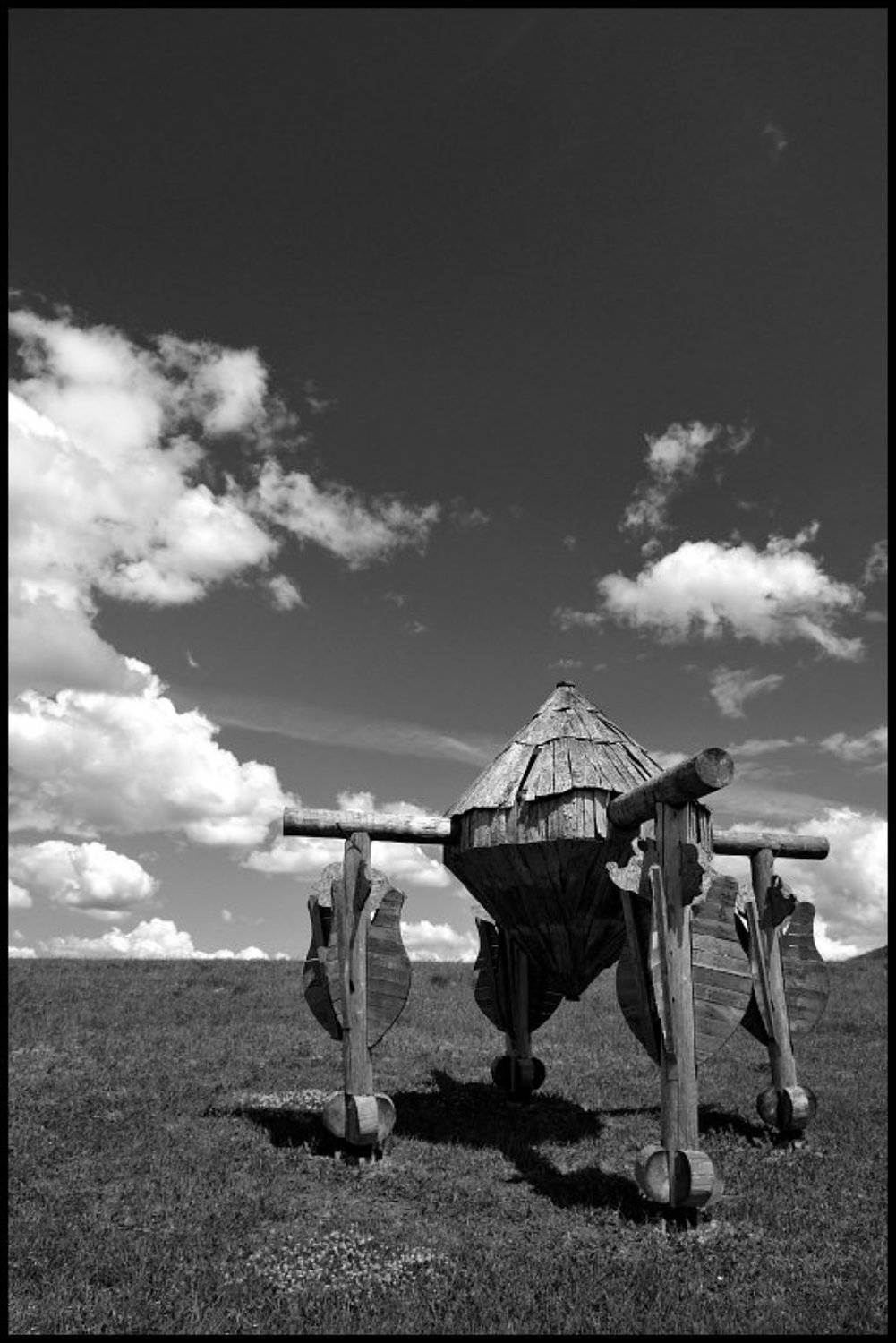 Пепелац латвийский обыкновенный (для Aleetet). Автор: Cairns (Павел Васильев) пепелац, педвале, Cairns (Павел Васильев)