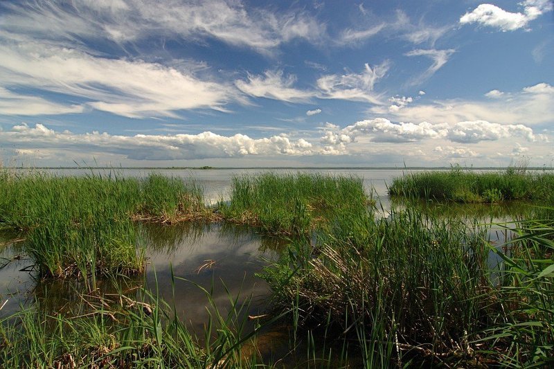 ростов великий, озеро неро, береговые заросли, рельефные облачка, полярик кажется дождь собирается... фото превью