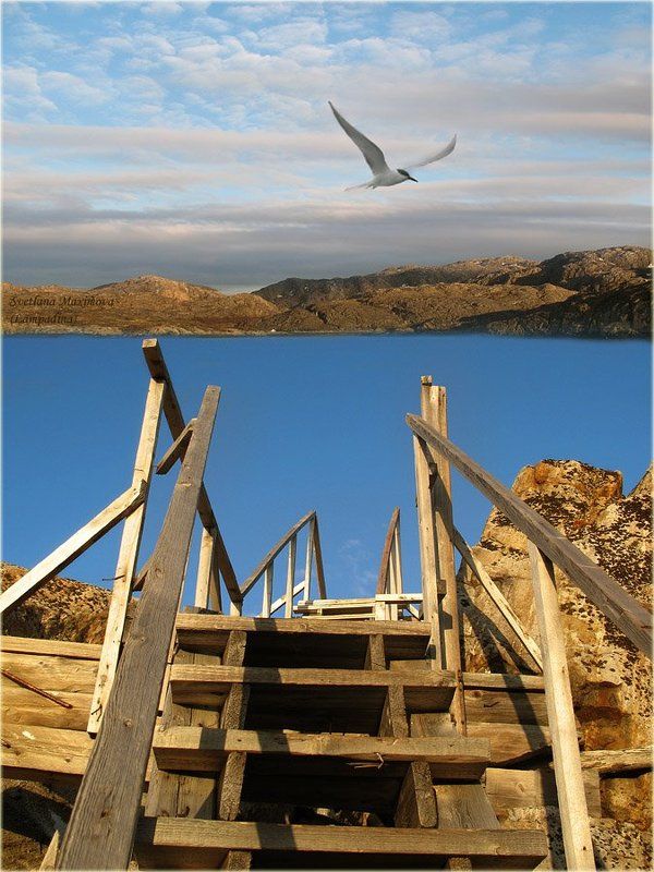 баренцево море, полуостров немецкий, малая немецкая бухта Про лесенку...photo preview