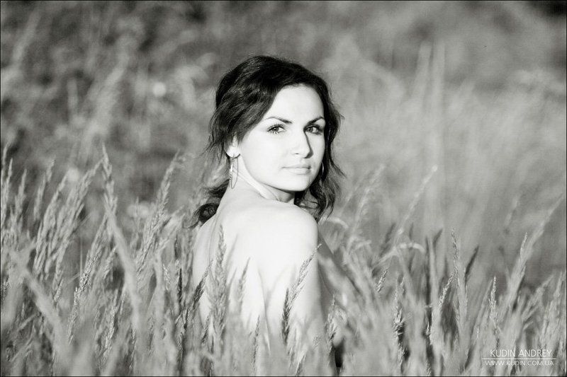 вітер торкається трави, трави, трави. Вітер торкається трави, трави, трави.photo preview