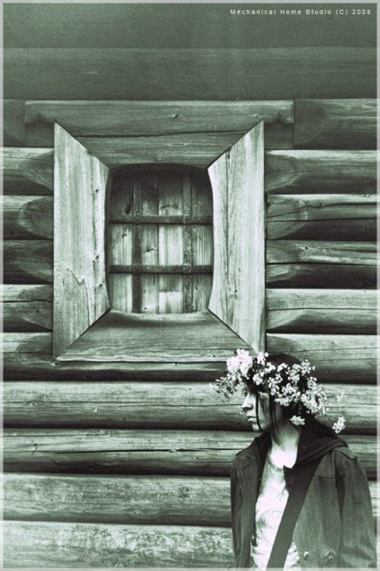 витославицы под окном..photo preview