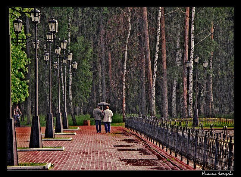 И буду весь вечер гулять под дождём...photo preview