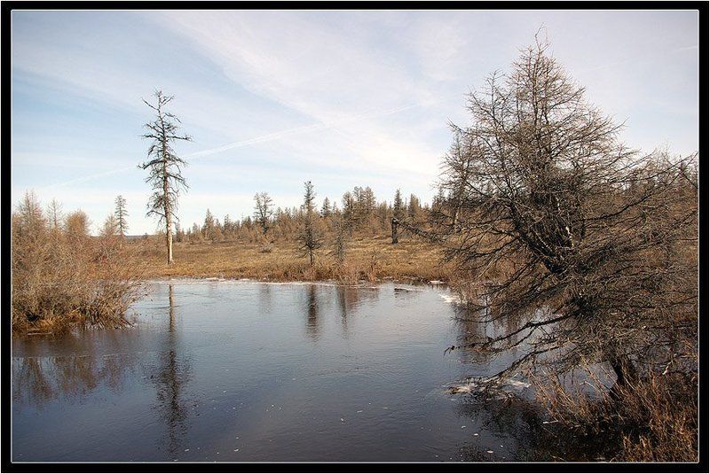 ручей,тайга Весенний деньphoto preview