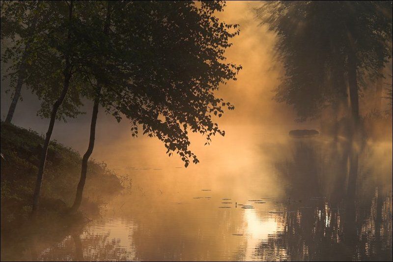 Рассветная середниковская картинка с подсвеченным туманом над прудом и бревном между островамиphoto preview