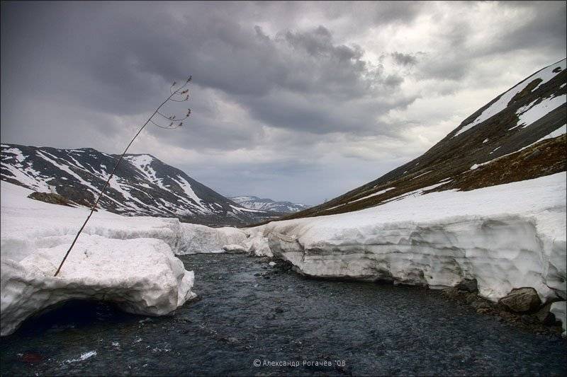 Про северное лето.. Автор: Александр Рогачёв хибины,лето, Александр Рогачёв