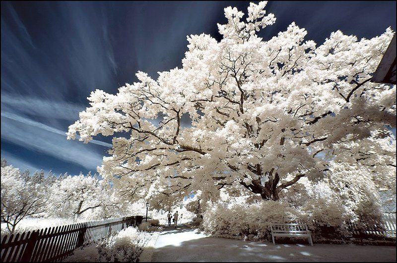 infrared инфракрасная iNfRaReDphoto preview