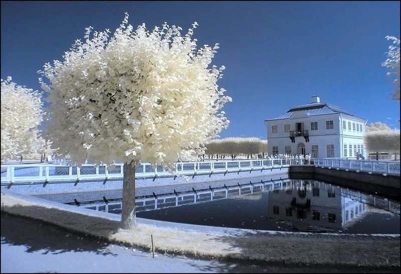 infrared photo инфракрасная iNfRaReDphoto preview