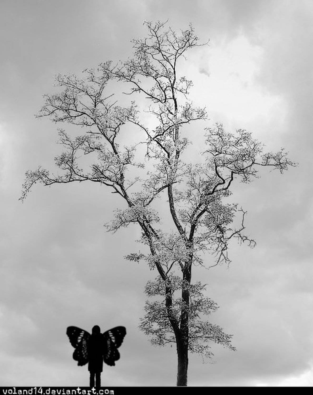 Fly to sky. Автор: Воланд Ратибор , Воланд Ратибор