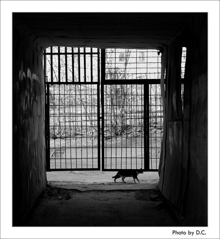 Сама по себеphoto preview