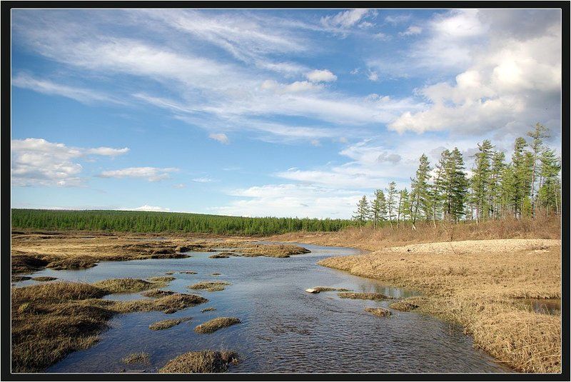 разлив,река,тайга Весенний бризphoto preview