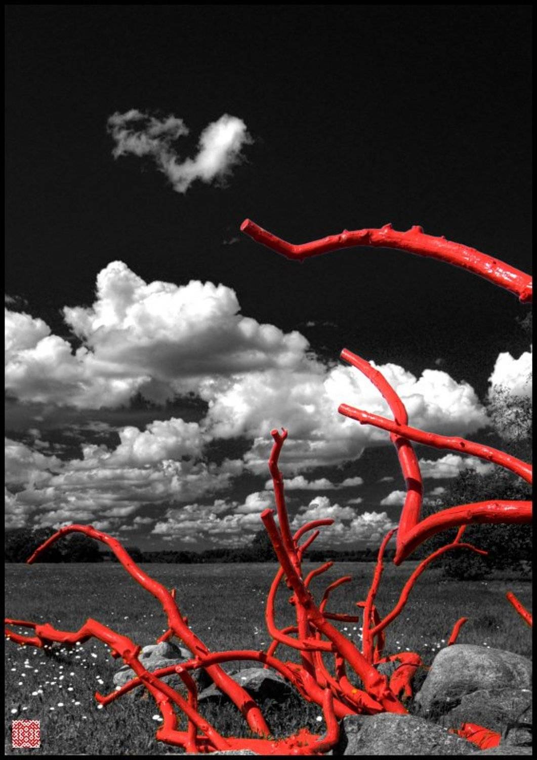 педвале, Cairns (Павел Васильев)