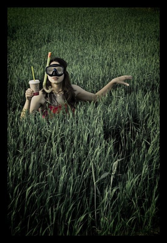 mermaid mermaidphoto preview