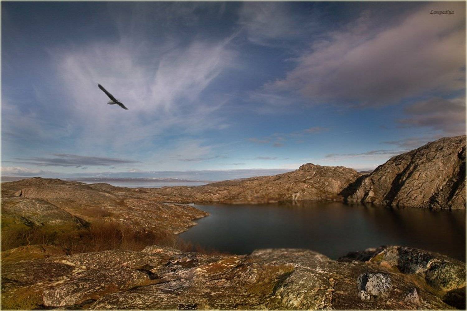 баренцево море, полуостров немецкий, июнь, lampadina