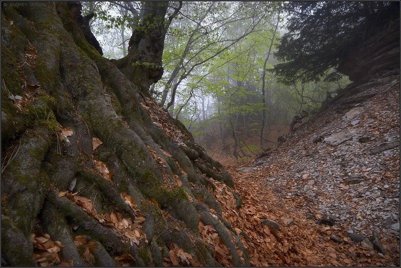 крым, таракташ, пейзаж, туман, осень, весна Территория вечной осени..photo preview