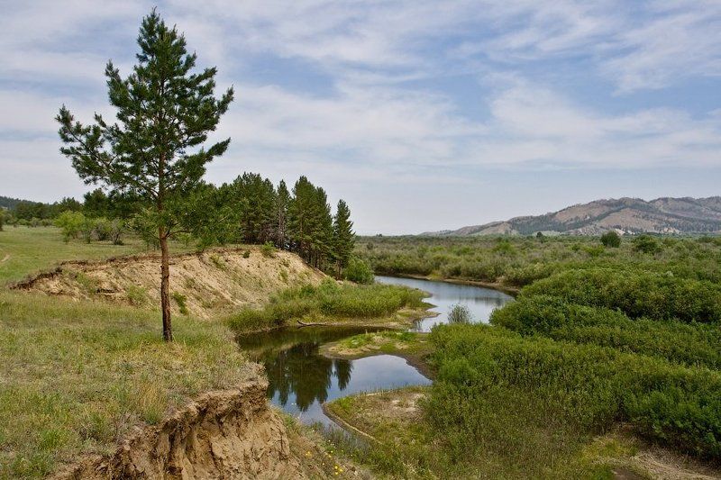 бурятия, река, чикой Протока реки Чикойphoto preview