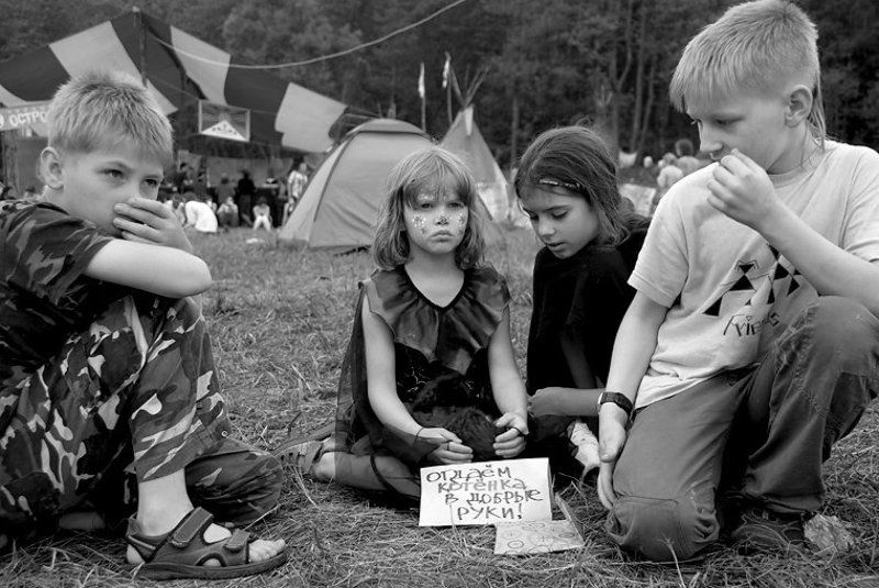 отдаем котенка...photo preview