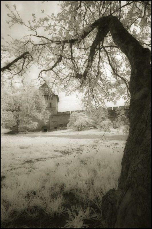 инфракрасная фотография infrared iNfRaReDphoto preview