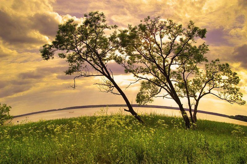 подмосковье... ***photo preview