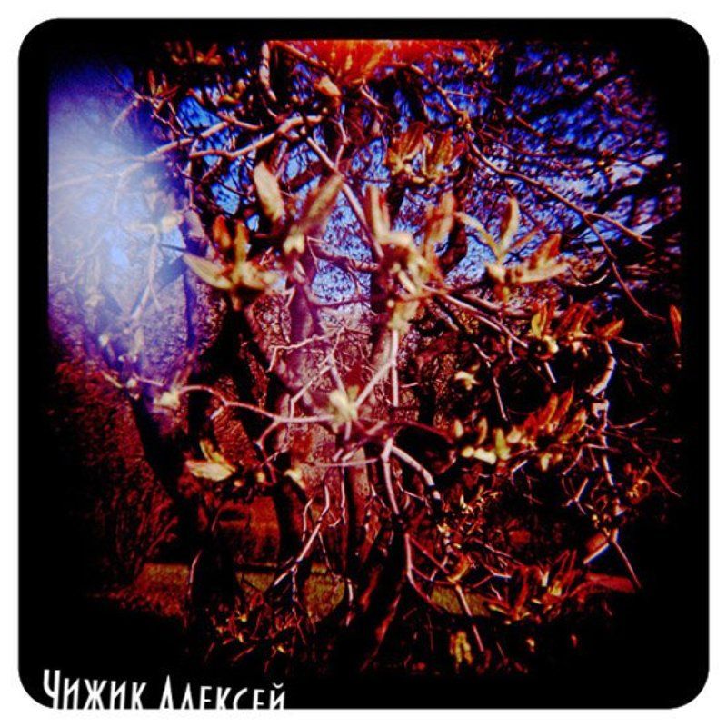 diana+ lomophoto preview