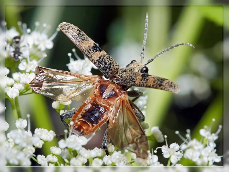 Ну, мне пора!..photo preview