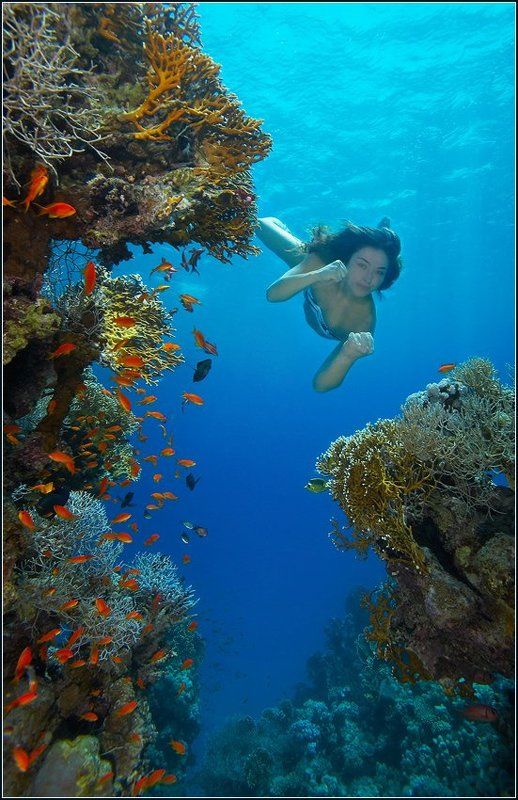 подводная амазонкаphoto preview