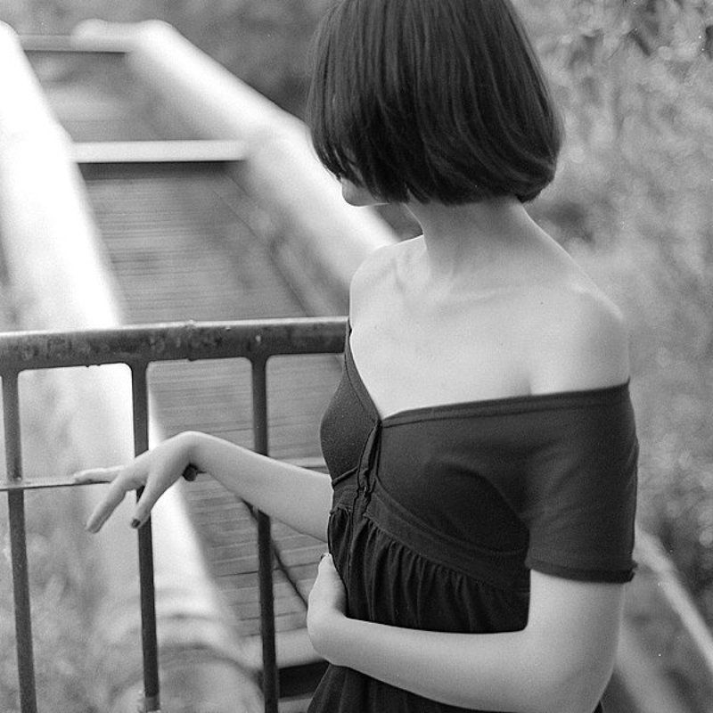 ...нимфея альба...photo preview