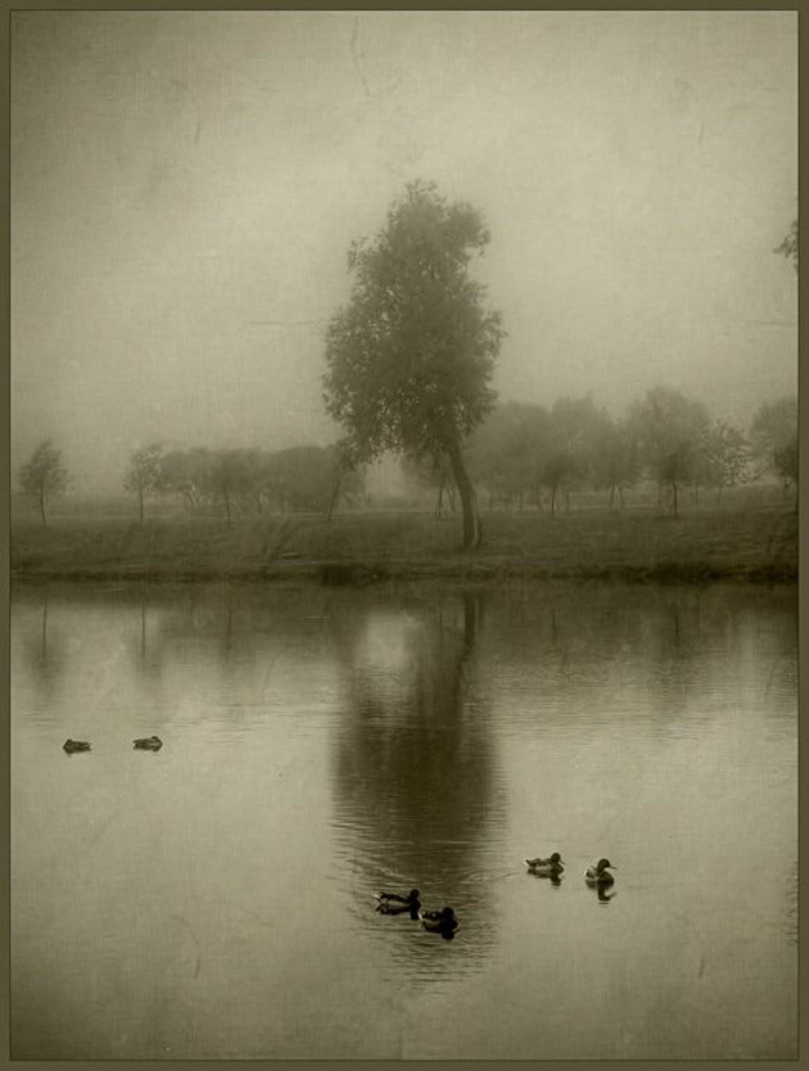 санкт-петербург, Лычёв Александр