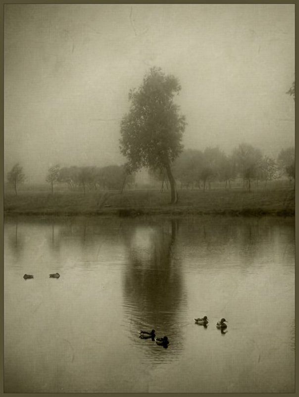 санкт-петербург Слепое утроphoto preview